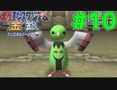 レンタル縛り＋ヘラクロス絶対選出でジムリーダーの城制覇する#10【ポケモンスタジアム金銀】