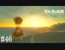 【ゼルダの伝説 Tears of the Kingdom】エノキダ、がんばったな【実況】#46