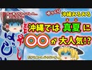 【ゆっくり解説】沖縄の夏の風物詩とは!?沖縄旅行の前に必見！ 沖縄あるある〖文化編〗