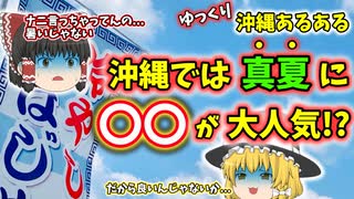 【ゆっくり解説】沖縄の夏の風物詩とは!?沖縄旅行の前に必見！ 沖縄あるある〖文化編〗