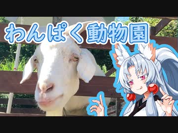 【VOICEROID車載】ペーパードライバー東北イタコ Part8【わんぱく動物園/布目ダム】