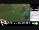 2023年05月30日ゼルダTotK【放送アーカイブ】