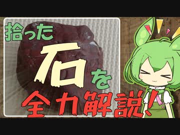 ずんだもん「全力石コロ解説！」【解説動画投稿祭】