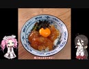サーフにいったけどまったく釣れなかったのでシーバス釣って食べる！【VOICEROIDフィッシング】四国めたんと中国うさぎ