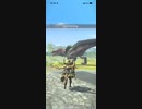 モンスターハンターNOW アンジャナフ　★4