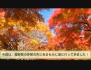 onisaが伊那のもみじ湖に行ってきました！