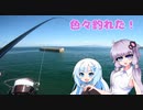 【VOICEROIDフィッシング】初秋のフカセ【フカセ釣り】