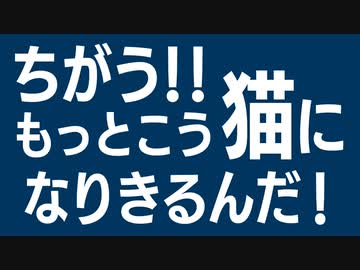 ヒグマが実況するStray #03