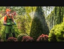 Organic Pest Control Services
