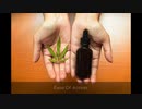 Buy CBD Online