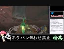 2023年06月02日ゼルダTotK【放送アーカイブ】