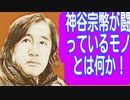 参政党.神谷宗幣が闘っているものとは何か！