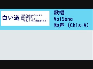 【知声】　白い道　【カバー】