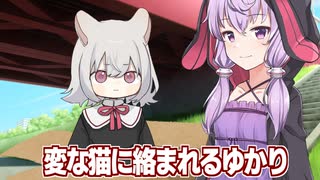 【雑談】謎の猫に絡まれる結月ゆかり