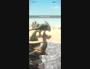 モンスターハンターNOW プケプケ　★3