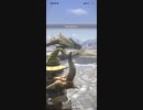 モンスターハンターNOW プケプケ　★4