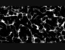 Adhesion Line Noise