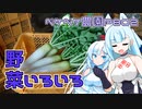 2023年11月3日　農作業日誌P802　直売用の野菜が一杯あって、ネギってこれでよいかったのだろうか？