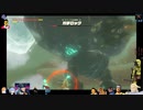 ⌘プレイアーカイブ⌘ ハイラルソード その196