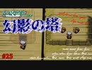 失ったポケモンは二度と戻らない。【ポケモンエメラルド】#25