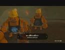 【Switch】リンクがゾナウとゼルダ探し旅【プレイ動画】part78