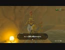 【Switch】リンクがゾナウとゼルダ探し旅【プレイ動画】part79