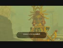 【Switch】リンクがゾナウとゼルダ探し旅【プレイ動画】part80