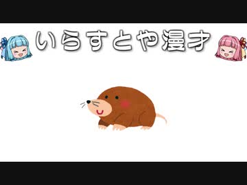いらすとや漫才「もぐらのイラスト」