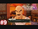 【実況】リディー＆スールのアトリエDXをまったりプレイ part9