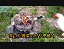 【ぴ】畑で野菜を育て自給自足。ピザも焼きました。家庭菜園