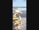 モンスターハンターNOW パオウルムー　★3