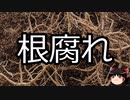 【ゆっくり朗読】ゆっくりさんと不思議な病気 その610
