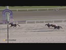 第13回ＪＢＣレディスクラシック アイコンテーラー