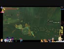 ⌘プレイアーカイブ⌘ ハイラルソード その199