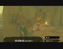 【ティアキン】依頼を受けて、ビューラさんを挙動不審にしてみた【ドリカラ】【ボイスピ実況,ゼルダの伝説ティアーズオブザキングダム,TotK,ゼル伝】