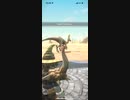 モンスターハンターNOW クルルヤック　★4