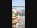 モンスターハンターNOW パオウルムー　★3