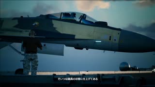 AC7_Mission20_編集動画