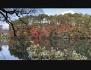 福島県　五色沼湖沼群　柳沼の風景1　2023　1028