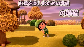 【まったり実況】あつまれどうぶつの森【関西のおばちゃん】#456