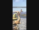 モンスターハンターNOW クルルヤック　★5