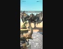 モンスターハンターNOW リオレイア　★5