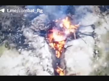 ホモと見る地獄絵図