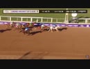 2023 Breeders’ Cup Classic White Abarrio