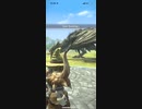 モンスターハンターNOW リオレイア　★5