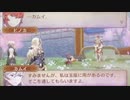 feif「暗夜24章:白夜王女ヒノカ」