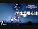 魂が眠る安息の地 [Hollow Knight]