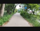 【散歩2022】水元公園 さくら土手 旧水元青年の家方面2022_515