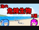 【VOICEROID解説】ゆかり先輩と見る危険生物【海編⑥】