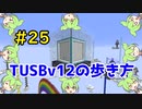 【Minecraft】TUSBv12の歩き方＃25【VOICEVOX実況】